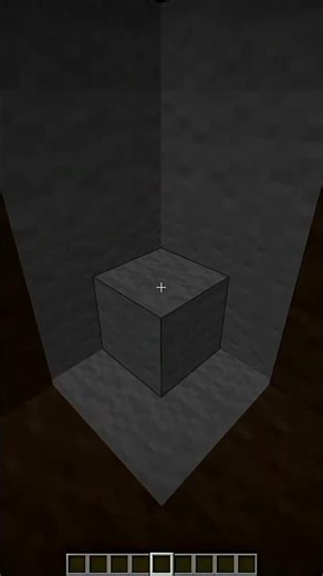 This Minecraft Loop Is Impossible To See… 👀