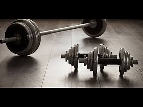 L évaluation de la musculation au lycée niveau 4 scolaire