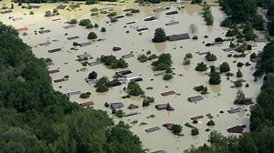 Experts highlight the impact of climate change on Belgium's forests