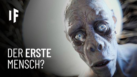 Die Evolution der Menschheit in 15 Minuten