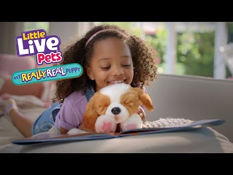 LITTLE LIVE PETS I MY REALLY REAL PUPPY TVC I 30