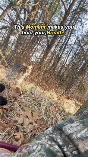 Farme Goes Crazy: Animal Attacks Suddenly #shorts #animals #viral #farm