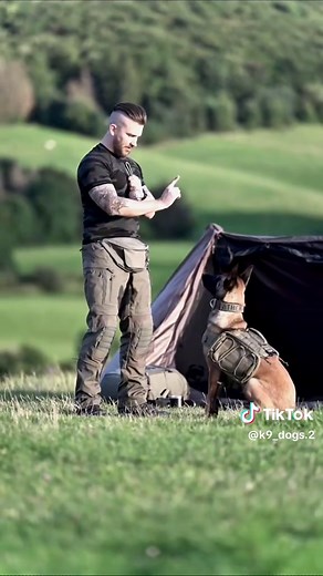 Expert K9 Trainer Tips for Dog Owners