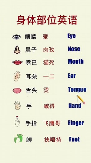 Learn Chinese for beginners - basic Chinese - Chinese vocabulary #Chinese #Study #Shorts #1350