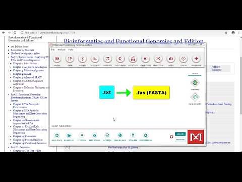 Entrando Secuencias en MEGAX