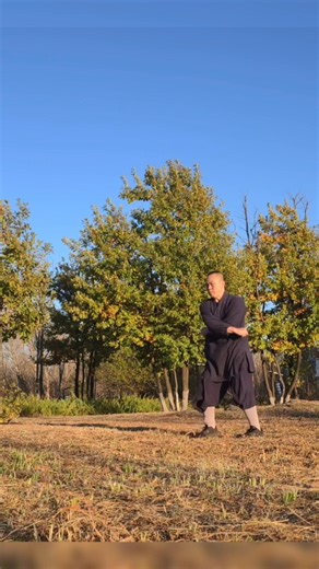 Shaolin Paoquan, a key Shaolin martial art, originated in the Song Dynasty and was created by Master Youfuju. Known for its blend of hardness and softness, and its integration of internal and external cultivation, it is a prominent representative of the boxing techniques of Shaolin's 72 unique martial arts. Known for its ferocity, swiftness, and explosive power, it emphasizes short, inch-force strikes and overall force generation, making it one of the essences of Shaolin's external martial arts.