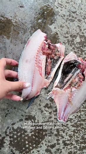 Fish filleting machine for tilapia