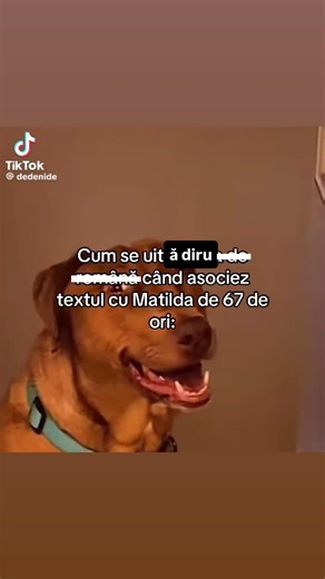 Diru: deja mi-e greață de Matilda Eu asociind cu Matilda…