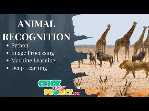 Python Image Processing - Animal Recognition - ClickMyProject
