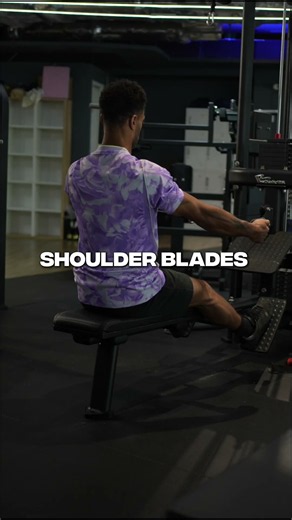 Seated Cable Scapular Retraction Demo