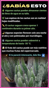 SECRETOS DE LOS CACTUS QUE NADIE TE CUENTA 🌵😱 ¿SABÍAS ESTO?
