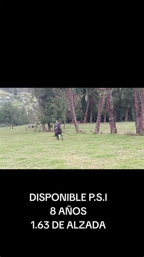 Videos de PabloS. D. V cowboy up (@pablosantiago.cowboyup) con “Mexico, Tequila And Me - Alan Jackson”