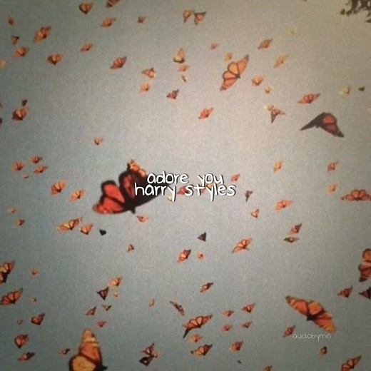 edit audio- adore you by harry styles
