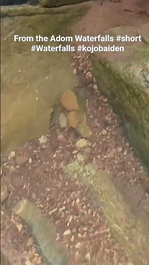 From the Adom Waterfalls #shorts #Waterfalls #kojobaiden #amkdiaries