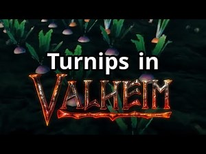 How to Find Turnip Seeds in Less Than 30 Seconds