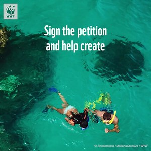 451 reactions · 58 shares | A Reef free from commercial gill nets means more fish, fun and fortune. Help create a Net-Free Reef. | WWF-Australia | Facebook