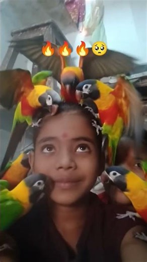 tota Udaya #funny #dance