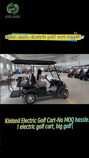 2025 New China-made Custom Electric Golf Cart for Sale - 36V vs 48V vs 72V #golfcart #customgolfcar