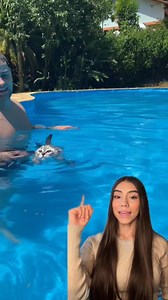 1.1K reactions | ✈️ Viaja, aprende y transforma. Empieza de 0 las...