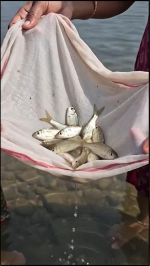 ஆத்துல அயிர மீன் புடிச்சி இருக்கோம் 🥰#motivation #moondrampirai #fish #meen #aiphotoediting #ai #yt