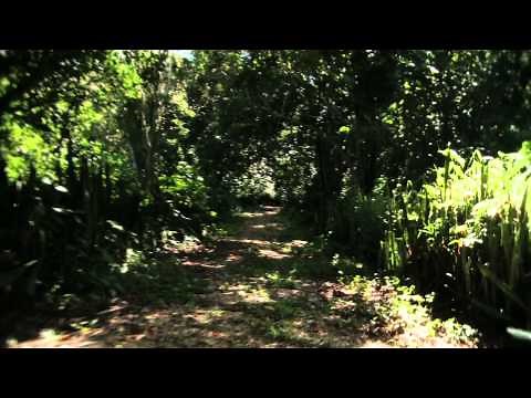 La Venta, Tabasco. Zona Arqueológica