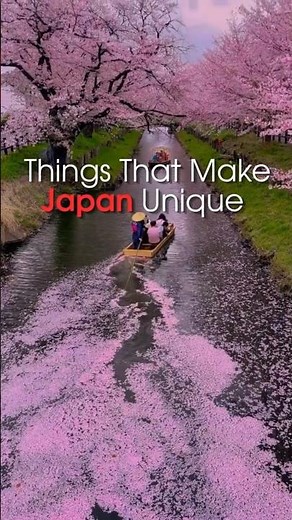 What Makes Japan So Unique 🇯🇵 | What Travelers Should Know