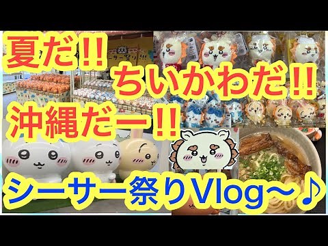 [Chiikawa] It's summer!! It's Chiikawa!! It's Okinawa!! A Vlog of my visit to the Chiikawa Shisa ...