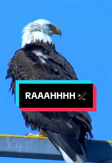 Excitement for Baseball Season Begins!