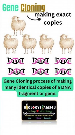What is Gene Cloning?