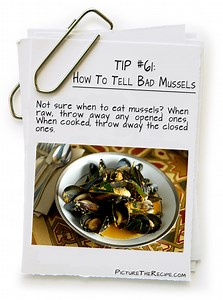 How to tell if mussels have gone bad? [2025] | QAQooking.wiki