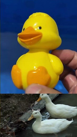 Learn Ocean Animals with Toy Figures | Sea Animal Names for Kids & Toddlers