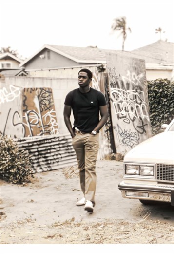 The Impact of 'Brick by Brick' in Snowfall