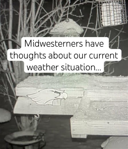 Old Man Winter...again 😬 #funny #birds #weather #blizzard #wildlife #animals #winter #snow #storm