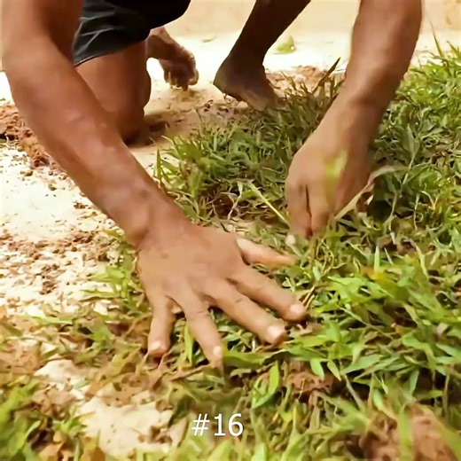 How did they build this amazing pool?