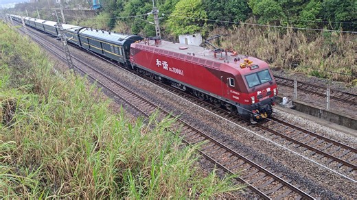 2026春运结束倒计时10天·激情雨摄--上午一小时、下午四小时收录通过列车·2026.03.03（元宵节）京广线韶关马坝四村跨线桥拍车（上）