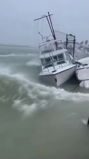 Planeta Asombroso on Reels