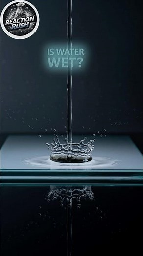 99% of People Get This Wrong… Is Water Wet?