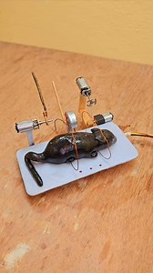 New rubber mouse trap in action with all the features #engineering #MOUSETRAP #funny #dcmotor #science | Science & Engineering