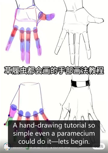 ฅ≽(•⩊ •マ≼ hand anatomy tutorial for artists from RedNote ~ save and practice . follow for more art lessons and art ideas 💡 . . . credit: id6718177870 . . #arttutorials #xiaohongshuart #artlesson #animeart #animearttutorial