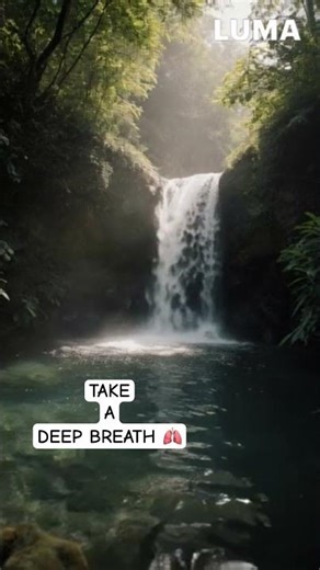 Relaxing Forest Waterfall Loop 🌿 Can You Find the Loop? #Shorts