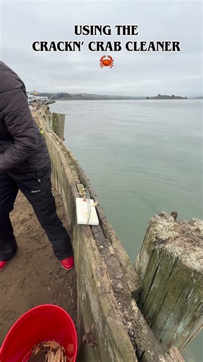 Sunday, I got to clean crab for the first time using the Crackn’ Crab Cleaner @crackncrabcleaner I may or may not have subconsciously taken out a little aggression on the crab… almost split them in half 🤣 🦀😄🤙🏻 Bring on the critics…..go ahead, give it to me! #fish #crab | J & J Tackle Company