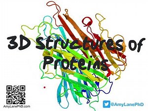 394 BCH3023 Three Dimensional Protein Structures