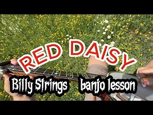 Red Daisy - Billy Strings banjo lesson with tabs