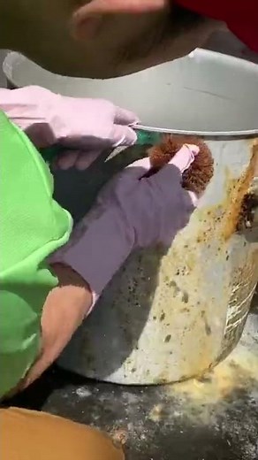 【衝撃】簡単に鍋の油汚れ、焦げを取る！お酢と重曹でこすらずにぬるっと落ちる！20年放置の鍋でも#鍋磨き #焦げ取り#掃除