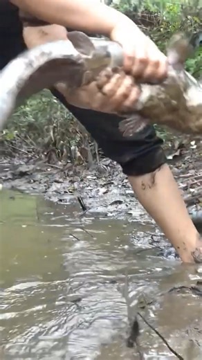 Fishing a lot of fish #survival #hunting #fishing #food | I Am Primitive | Facebook