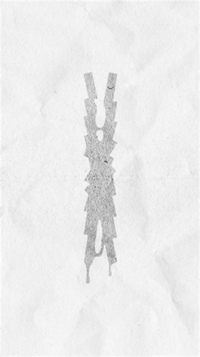 chat vs chien 🎃👻😋 #halloween #humour #chat #chien