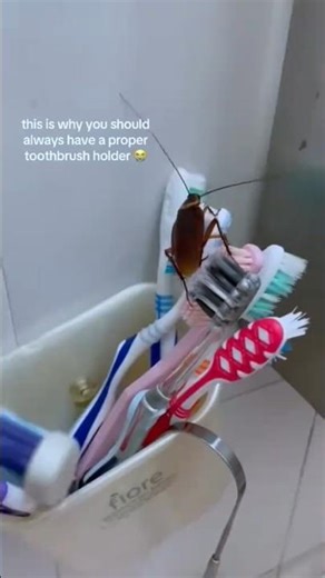 Saw a cockroach on my toothbrush….So I built this gadget