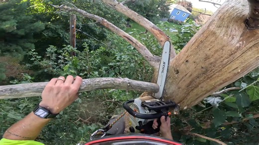 ⚠️ Hazardous Tree Removal ⚠️ Come with Noah as he removes a decayed pine that has no drop zone (space where debris can be safely dropped), and power lines near by. If you have a scary tree…. give us a ring! 📞 763-607-5103 | Rooted Treeworks