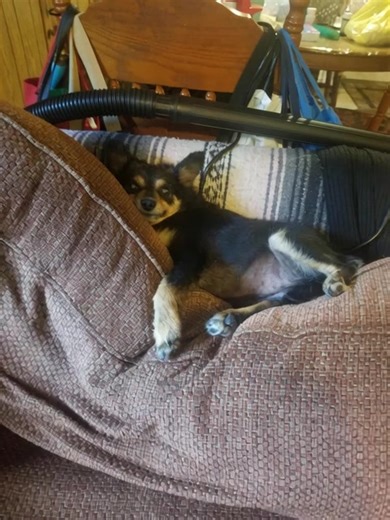 Brenda Russell on Reels | Facebook