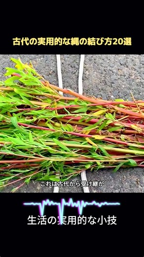 古代からの伝承・実用的な縄結び20選